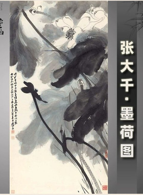 张大千墨荷图条幅国画写意水墨画