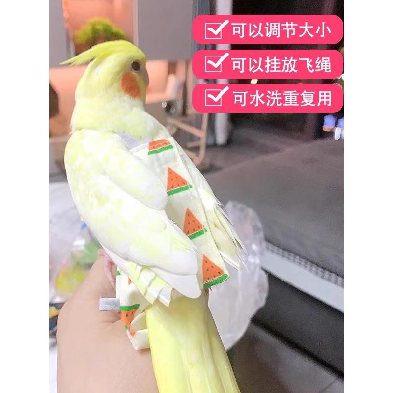 鹦鹉尿不湿屎兜纸尿裤鸟用虎皮遛鸟神器玄风拉便携式可调节不沾粪