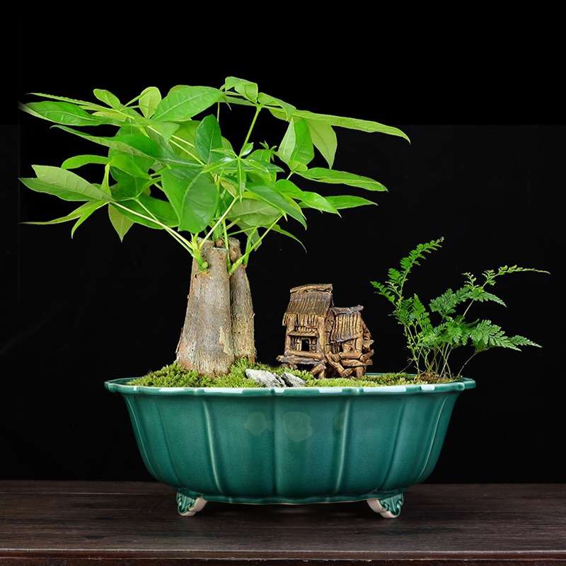 宜兴紫砂花盆高温冰裂釉桌面花卉绿植大号盆景盆榕树多肉老桩