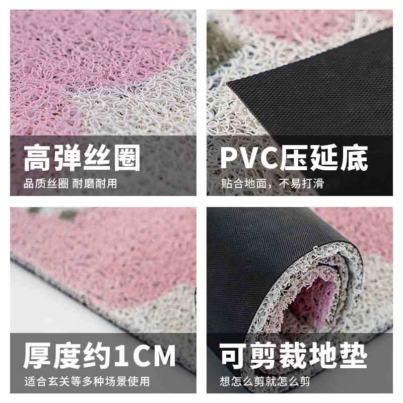 现代简约小花地垫地毯进门地板刮沙除尘入户门防滑PVC脚垫