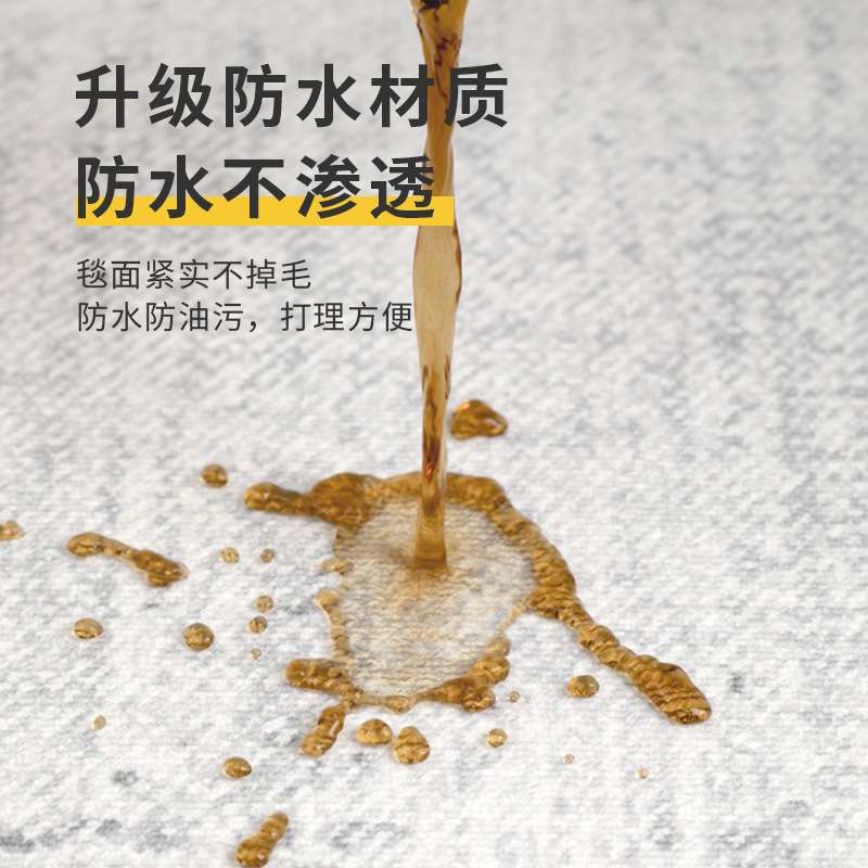 地毯客厅2024新款免洗可擦轻奢高级意式极简简约灰色沙发茶几地垫