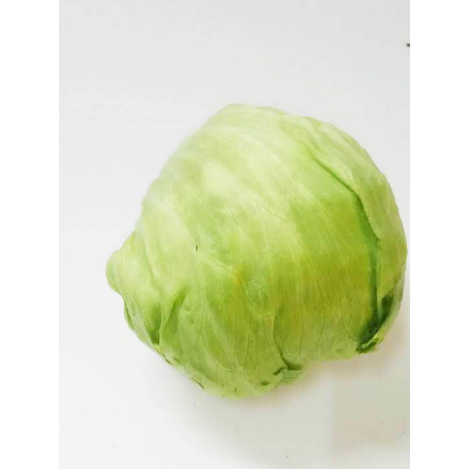 西生菜新鲜蔬菜圆生菜球包菜汉堡包蔬菜沙拉菜球生菜新鲜包邮500g