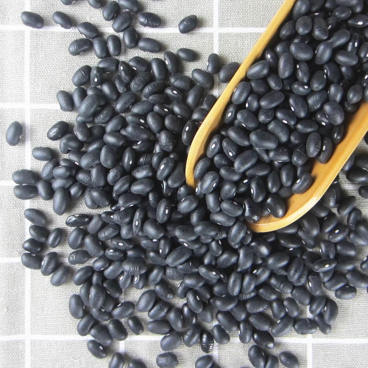 新东北黑龙江包邮1斤农家黑芸豆新菜饭黑豆肾形腰豆黑眉豆芸豆