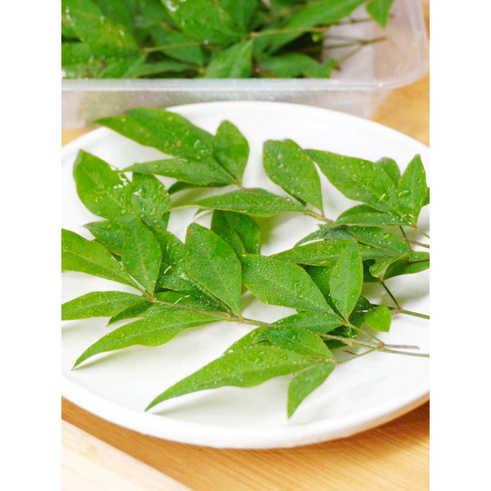 南天竹叶新鲜绿叶绿南天可食用西餐酒楼摆盘装饰花草火锅点缀叶子