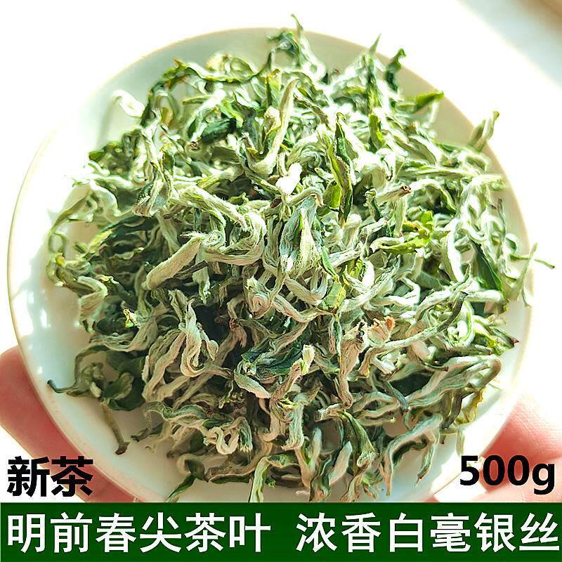 2025新茶白毫绿茶兰州春尖茶叶