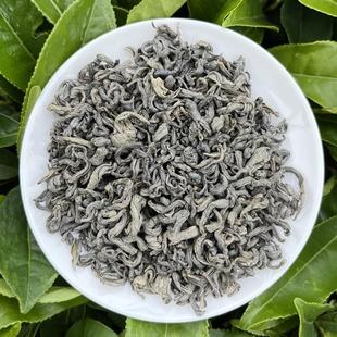 揭西大洋炒茶揭阳高山炒茶梅占绿茶大洋炒茶浓香回甘潮汕茶叶