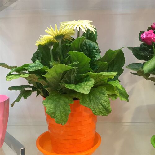 树脂塑料花盆室内阳台盆栽多肉绿萝植物仿创意圆形小花盆厂家