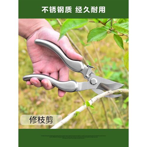 园艺剪刀304不k锈钢修枝剪树枝剪刀果枝剪家用修花剪园林工具花剪