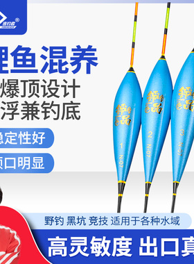 李承锋纳米浮漂N07N08N16枣A核型鱼漂黑坑鲫鱼鲤鱼行程截口高灵敏