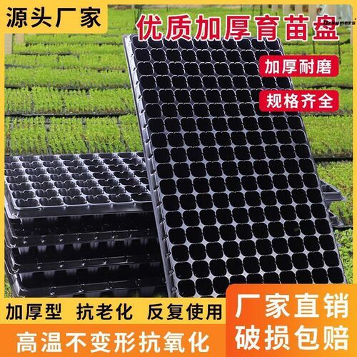 苗盘草莓玉米穴盘育苗西瓜叶插苗多肉托盘神器耐用优质厂家