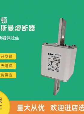 全新快速熔断器保险170M5691 170M5692 170MO5693 170M5694