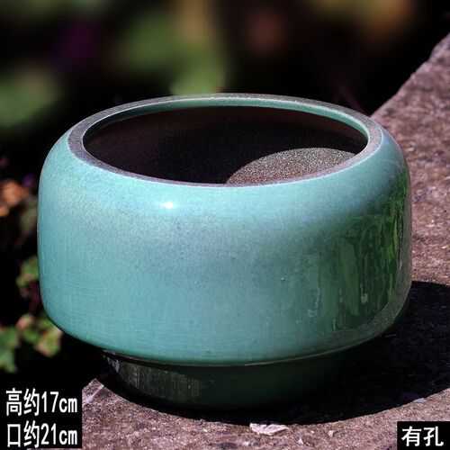 蕨类植物绿植盆景l盆文竹菖蒲花盆大号老桩法师盆家用多肉陶盆大