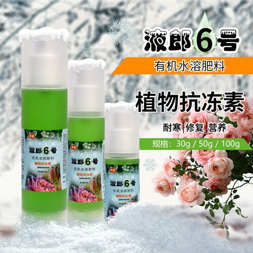 老花医植物防冻剂液郎6号大棚蔬果树F盆栽防冻液抗寒耐低温修复剂
