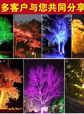 户外射灯防水lhed投光灯照树灯射树插地灯草坪超亮室外景观庭院灯