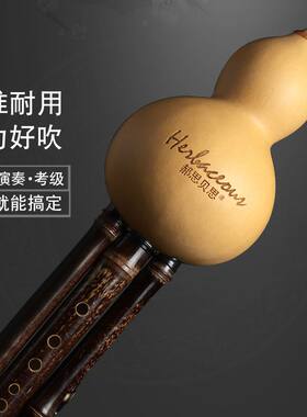 初学儿童葫芦丝初学者C调降B调hulusi小学生云南民族乐器