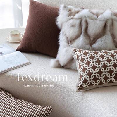 Texdream态度法式中古提花沙发客厅抱枕套轻奢复古名宿床头靠垫