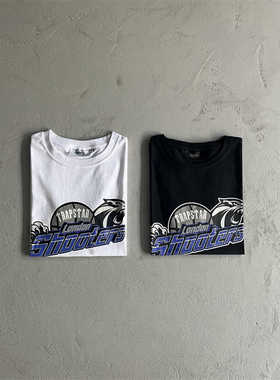 Trapstar2024新款纯棉重磅圆领短袖t恤男士夏季ins潮牌字母印花潮