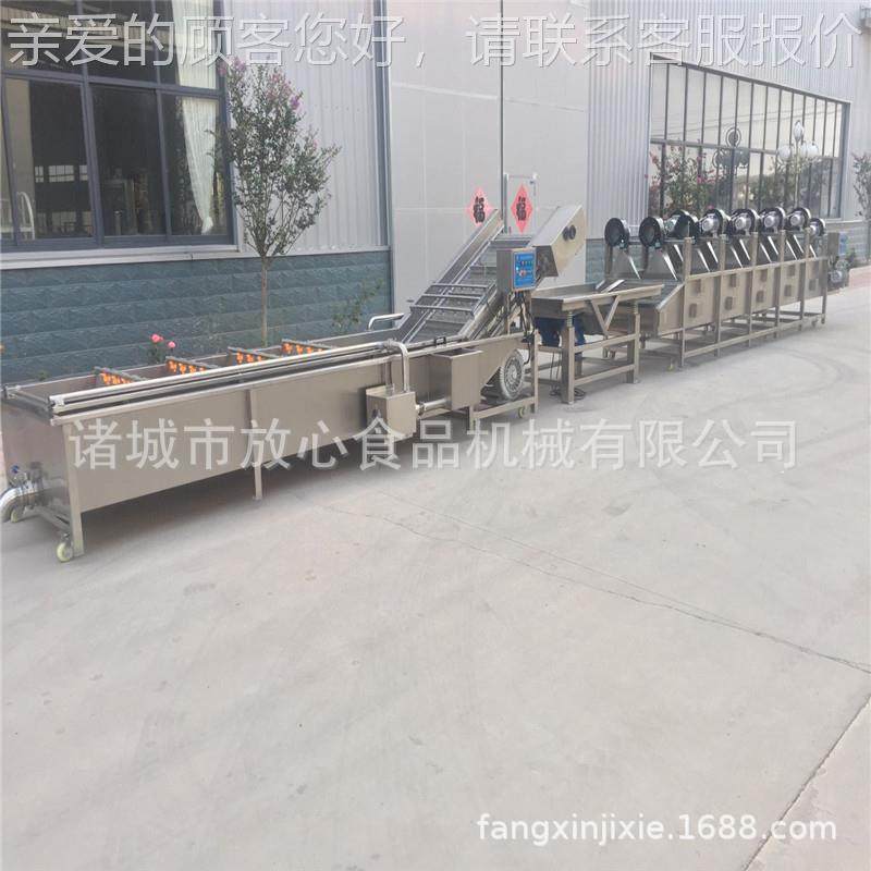 菜专业蔬洗机 气泡翻浪清洗机生产厂FX-600 可清加家工定做,清洗/食品/商业设备,果蔬加工设备,淘宝优惠券,粉丝福利购,淘宝优惠卷