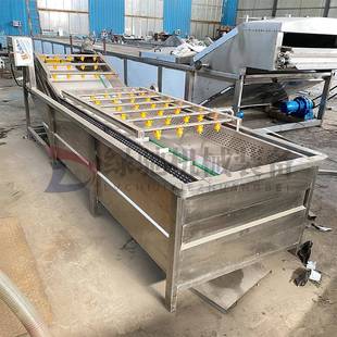 驰果净蔬气泡洗机食堂不锈清钢LC 菜 QP350圣女果喷淋绿清洗设备