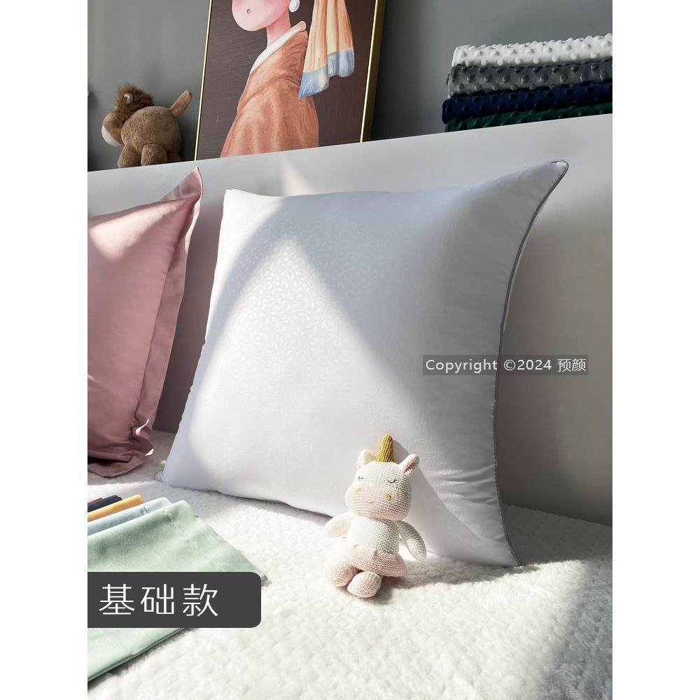 抱枕芯45x45cm大靠枕芯皮内胆套沙发靠垫x60x65x80床上长方形x85