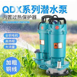 潜水泵家用220V抽水机高扬程泥浆抽水泵小型排污泵农用灌溉清水泵