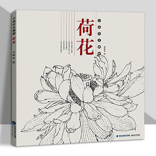 白描技法精解荷花中国画花草植