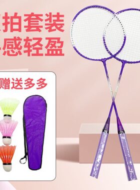 智博208太阳花分体业余初级一件训练拍羽毛球拍送3只仿尼龙球