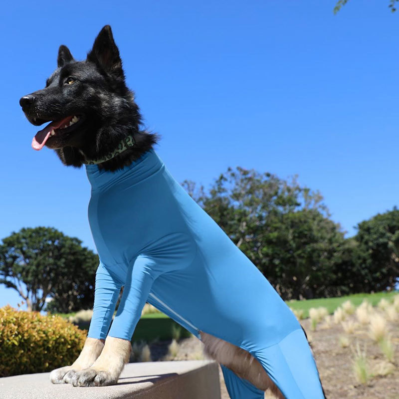 中大型犬狗狗衣服柴犬猫咪金毛拉布拉多薄款弹力宠物四脚衣防毛
