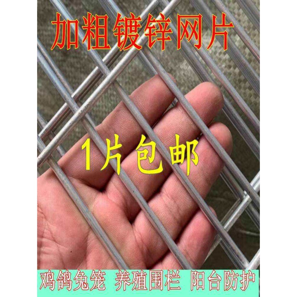 长孔镀锌铁丝网片鸽舍围网热镀锌钢丝网养殖加粗加密地网防护格网