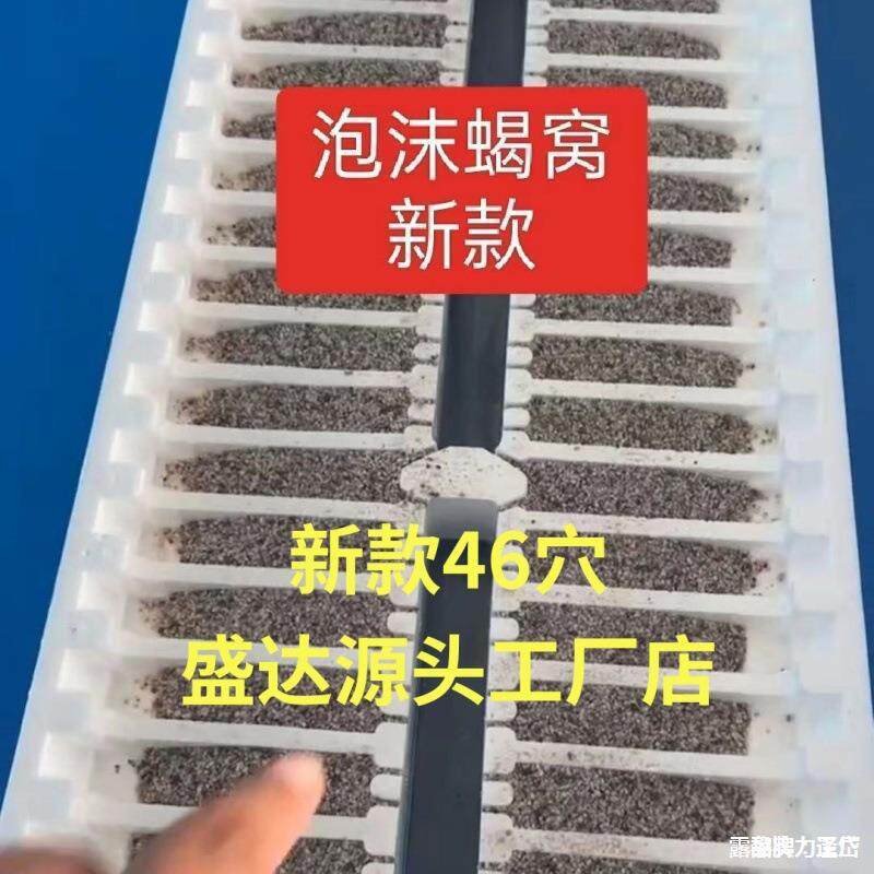 苗托蝎子工具人工龄箱养殖二的泡沫房蝎养殖模具蝎窝盒子蛋蝎