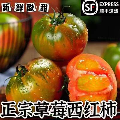 草莓柿子顺丰正宗丹东现摘现发