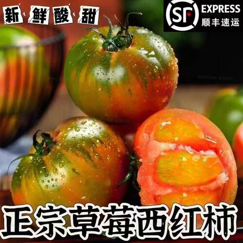 草莓柿子顺丰正宗丹东现摘现发