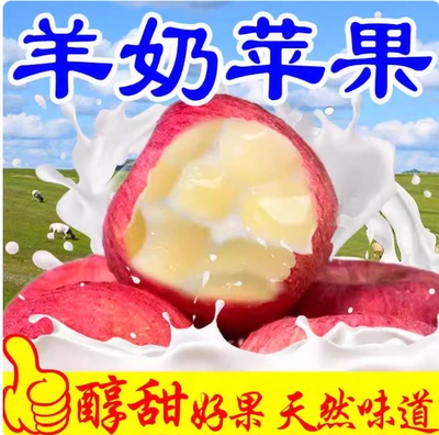 万荣羊奶苹果礼盒装新鲜水果时令应当季脆甜冰糖心山西奶油红富士