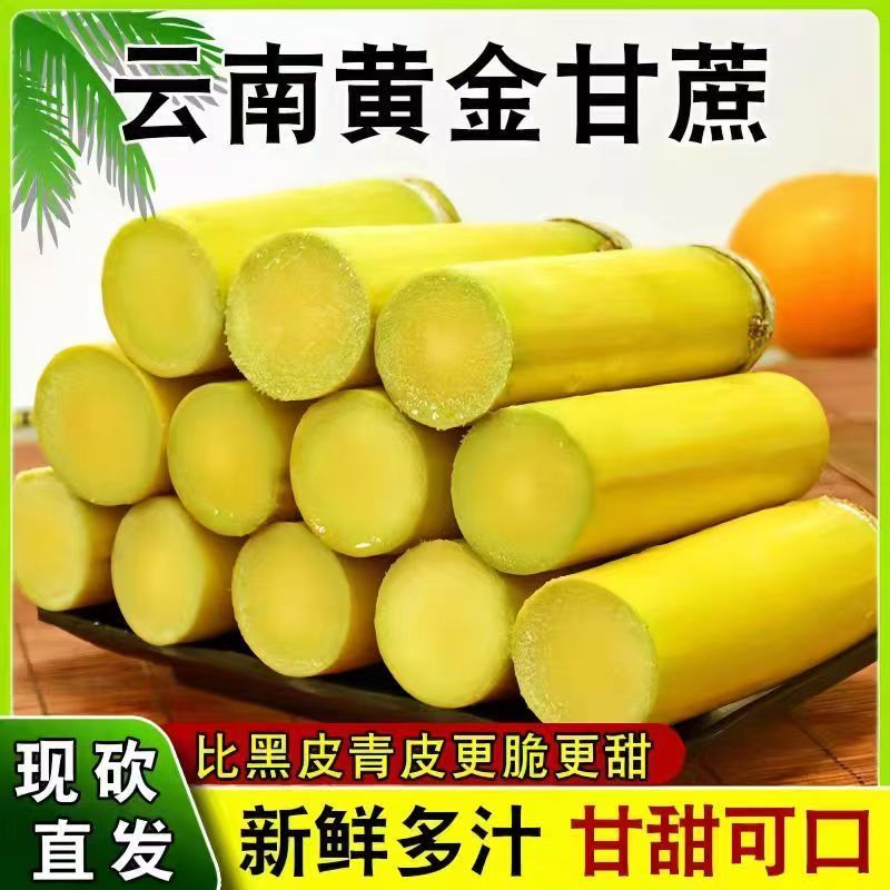 云南脆皮黄金甘蔗9斤一级甘蔗现砍黄皮新鲜应季水果甘蔗孕妇脆甜