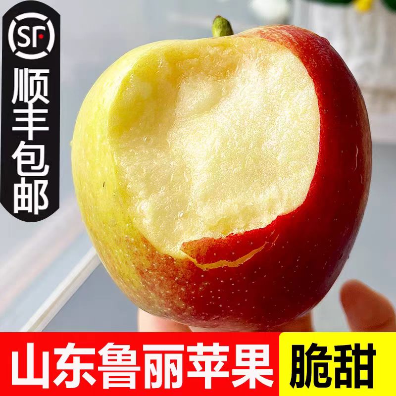 现货山东鲁丽新鲜小苹果现摘现发当季新鲜水果脆甜丑苹果孕妇顺丰