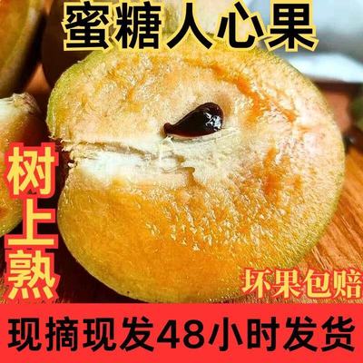 【顺丰】现摘越南人心果新