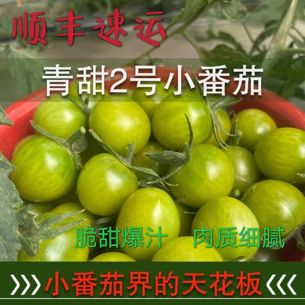 山东潍坊超甜青甜2号脆甜小番茄非青口蜜绿宝石圣女果小柿子顺丰,水产肉类/新鲜蔬果/熟食,番茄,淘宝优惠券,粉丝福利购,淘宝优惠卷