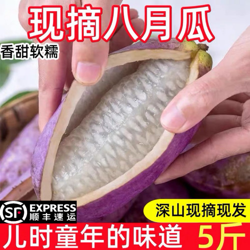 新鲜八月瓜8八月炸5斤当季水果现摘野香蕉甜香瓜孕妇特产整箱包邮