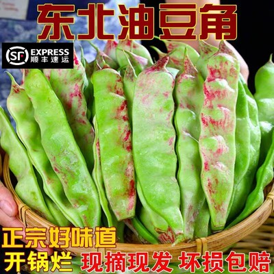 顺丰当季蔬菜东北油豆角一点红