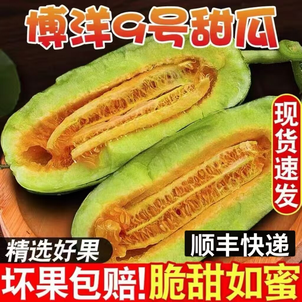 顺丰现摘现发山东头茬精品博洋9号甜瓜 新鲜时令水果香瓜脆瓜蜜瓜