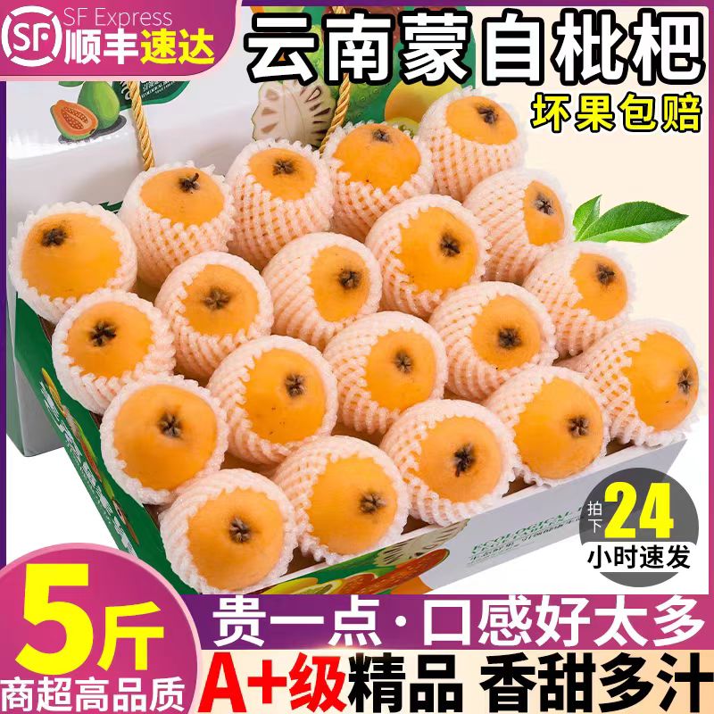云南蒙自枇杷鲜果新5斤当