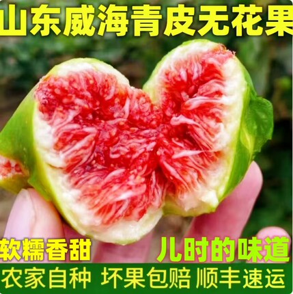 无花果新鲜威海特产青皮无花果鲜果大果孕妇现摘新鲜水果5斤顺丰