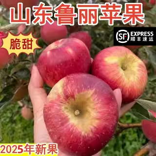 正宗山东鲁丽小苹果新鲜当季现摘嘎啦苹果丑糖心脆甜孕妇水果整箱
