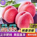 整箱应季 肥城桃新鲜桃子水果当季 肥桃脆甜山东正宗泰安水蜜桃礼盒