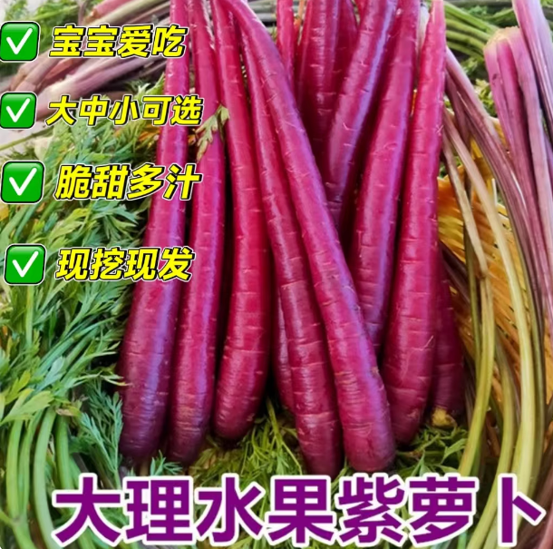 云南大理紫皮手指胡萝卜新鲜现挖生吃水果紫胡萝卜脆甜5斤花青素,水产肉类/新鲜蔬果/熟食,萝卜/胡萝卜,淘宝优惠券,粉丝福利购,淘宝优惠卷