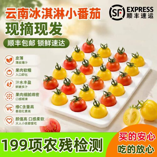 顺丰云南冰淇淋小番茄甜生吃高糖