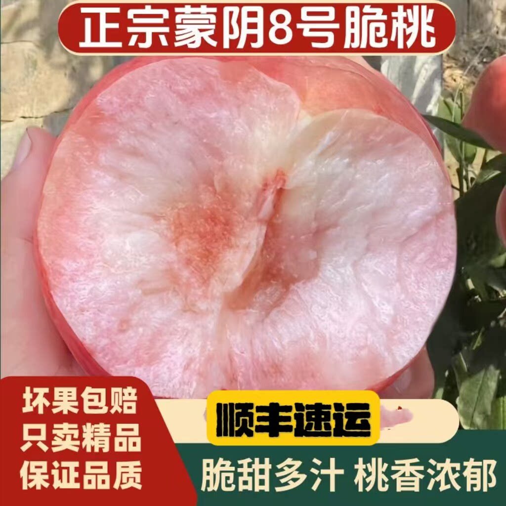 沂蒙山8号脆桃新鲜水果应季硬桃毛桃水蜜桃当季山东蒙阴桃子顺丰