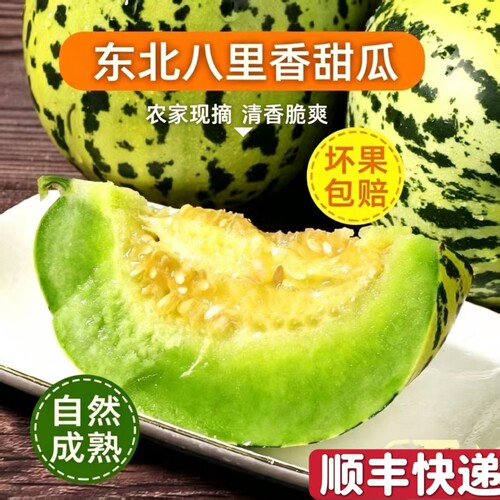 2026新鲜东北八里香甜瓜香瓜现摘现发大地香瓜 老品种一级果脆甜5
