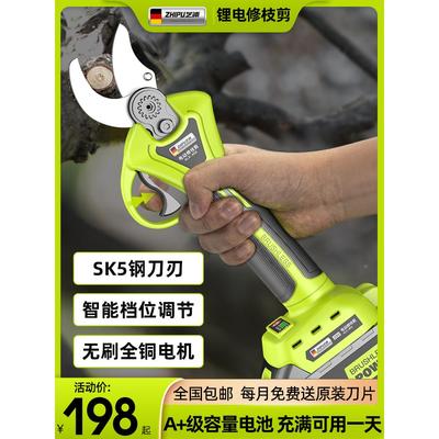 德国进口充电式电动修枝剪电剪刀剪树枝果树树枝剪刀锂电池专用园