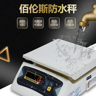 。佰伦斯616AR工业防水计重 电子秤6/3/15kg0.1g防腐蚀防锈化工台